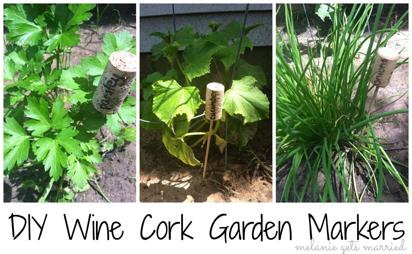 Making It In The Mitten Wine Cork Garden Markers {and our first garden}