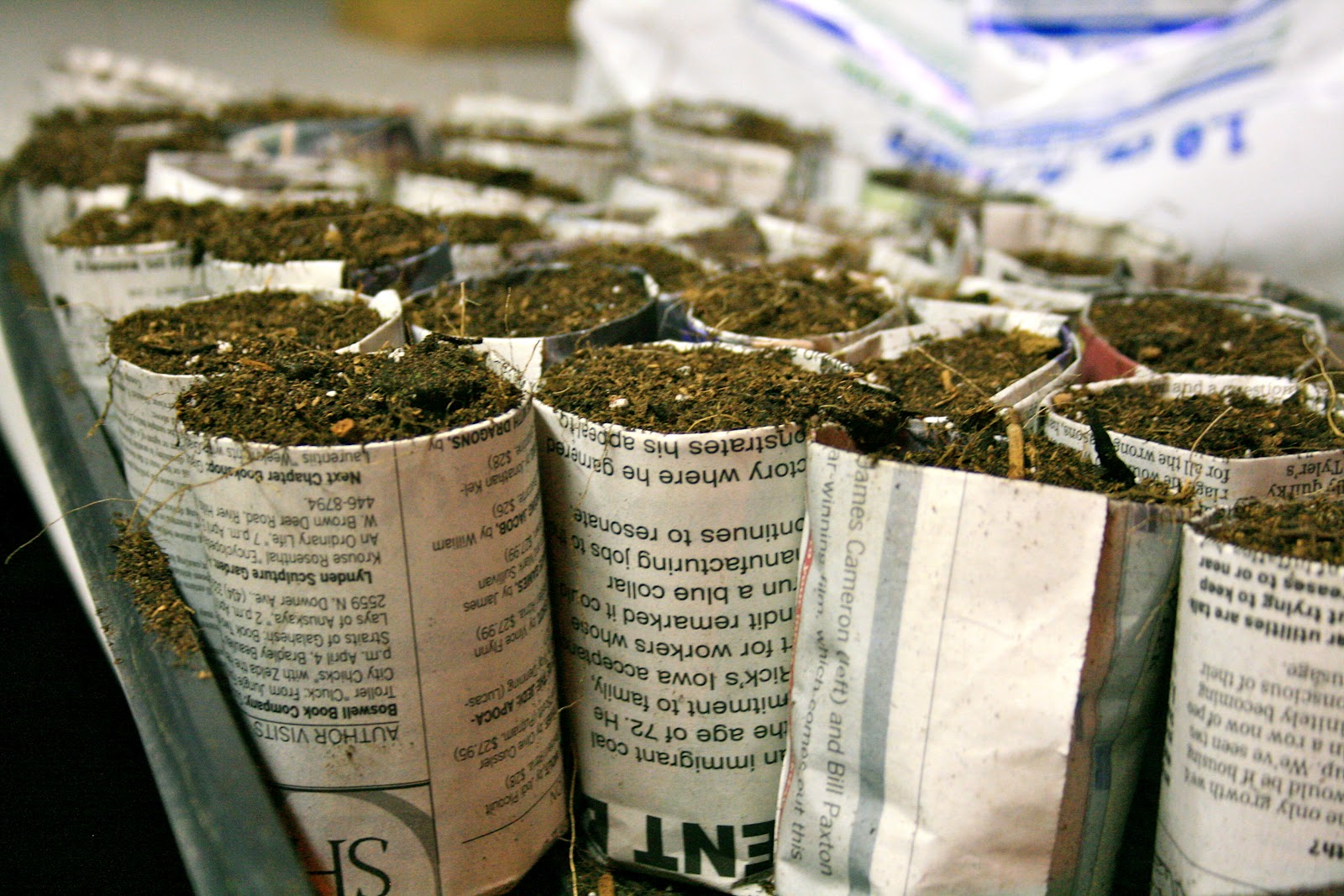 Tilting At Windmills Newspaper Seed Pots A Video Tutorial