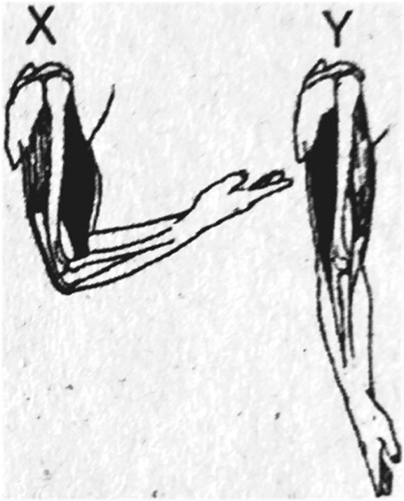 Perhatikan gambar berikut ! Latihan Soal Online