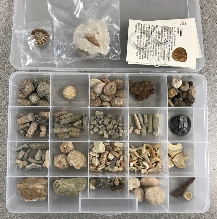 The 8th Word Wonder! Speech & Language Therapy Blog