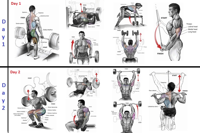 2 Days A Week Workout Program 2 Days A Week Workout Program
