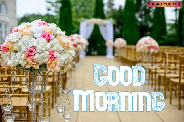 Good Morning Images Good Morning Images
