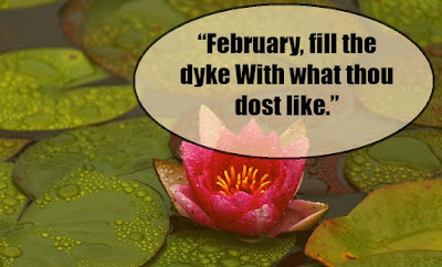 February quotes - quotes about february - quotes for february
