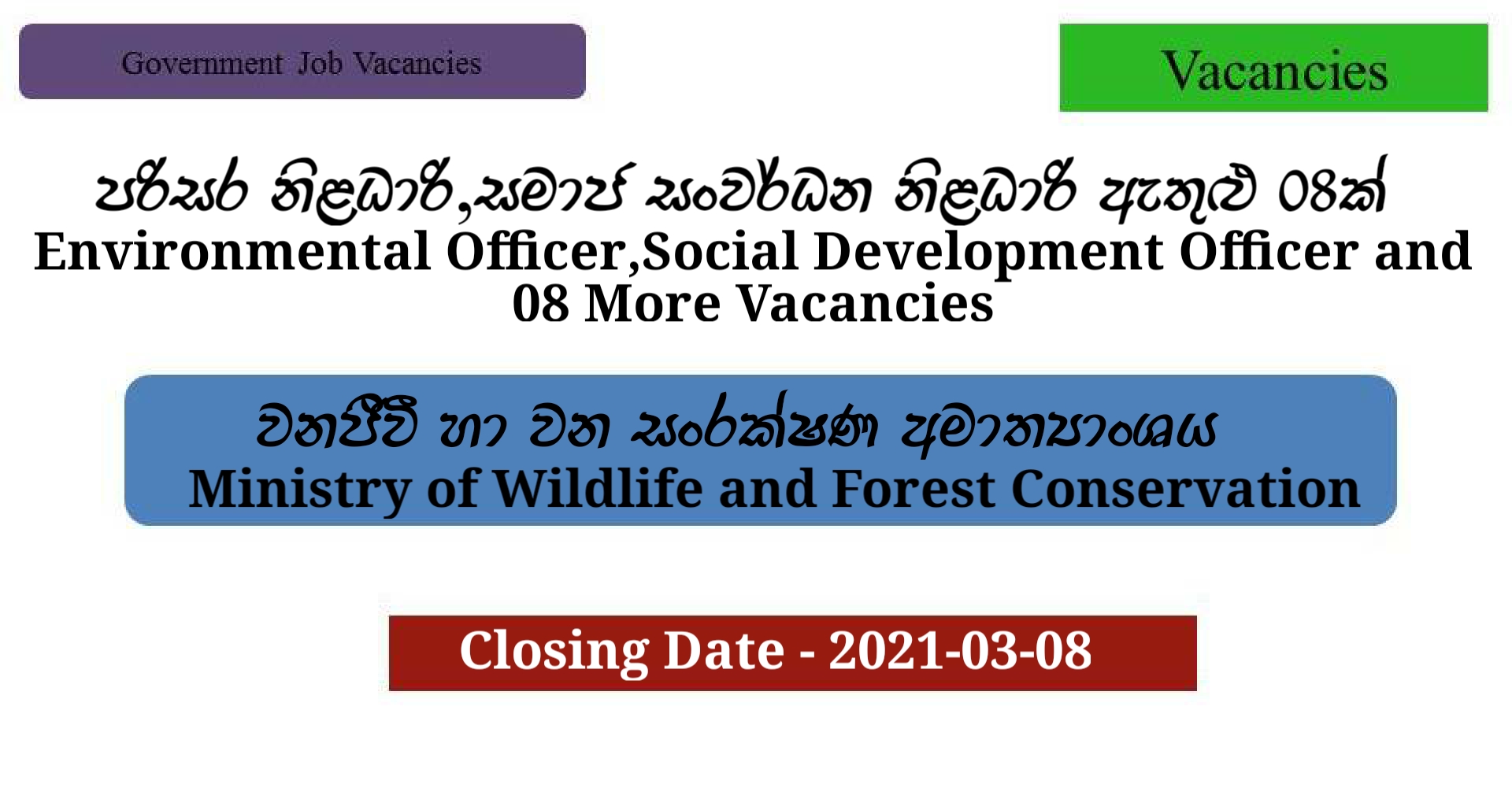 Environmental Officer,Social Development Officer and 08 More Vacancies Ministry Of Wildlife
