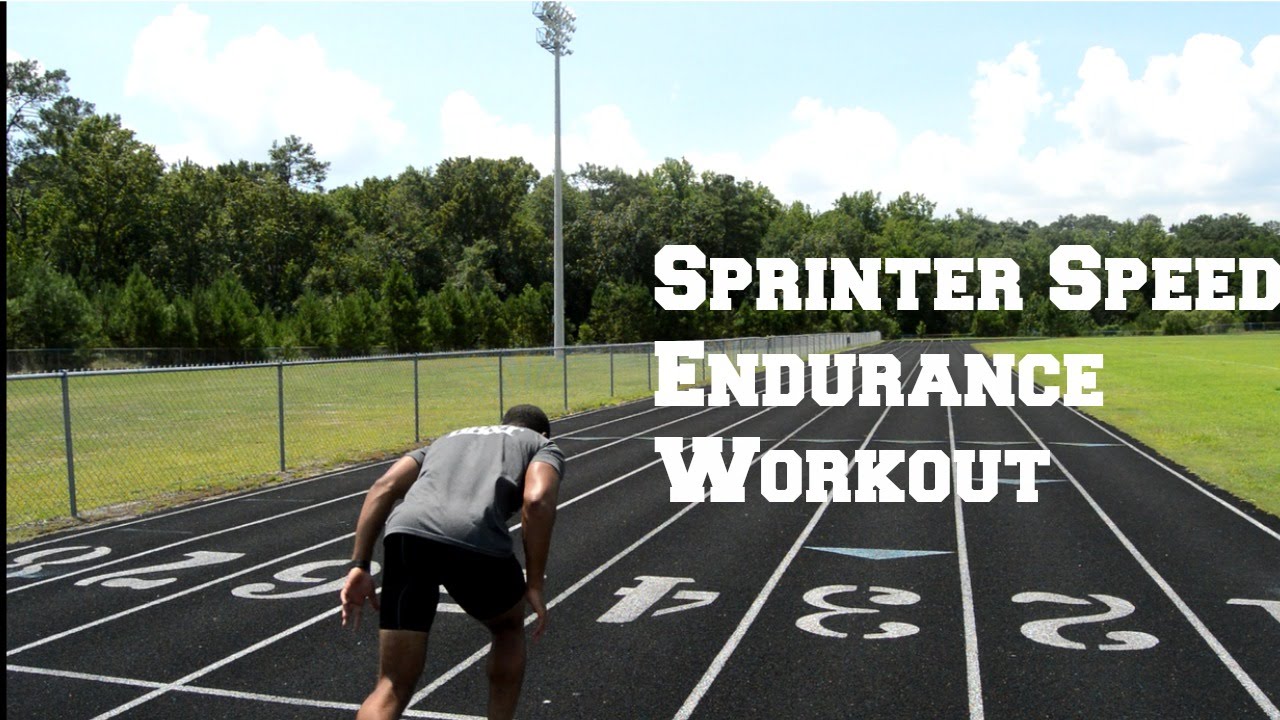 Speed endurance. Speed endurance. Workout tracker. Скорость. Обзор книги брайана маккензи сила скорость выносливость.