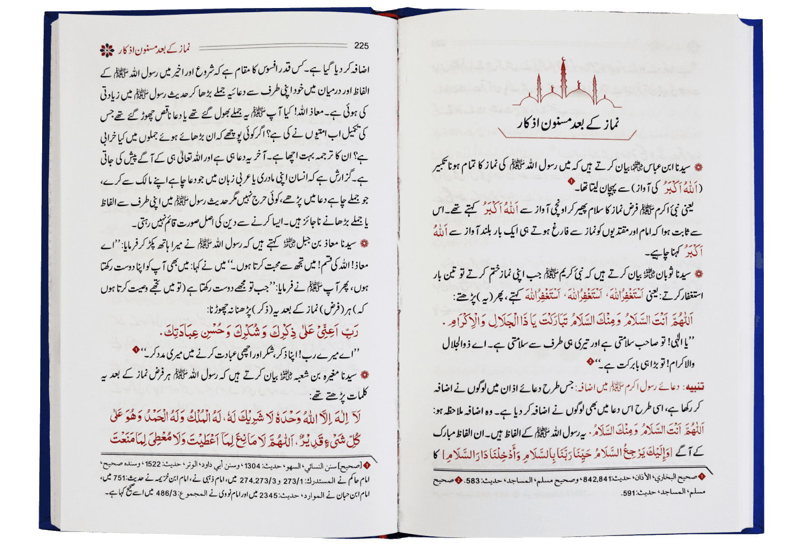 Namaz E Nabvi & Hisn Ul Muslim - Image 3