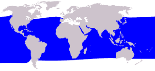 Kısa yüzgeçli pilot balinanın dağılım haritası