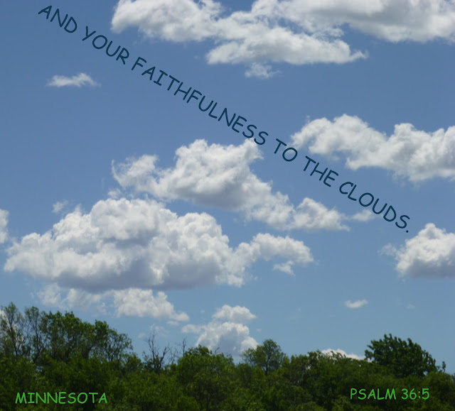Caryjo roadrunner PSALM 36 SKIES AND CLOUDS