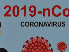 Dari Mana Asalnya Virus Corona Berikut Penjelasannya