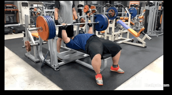 일반인 3대 772.5kg