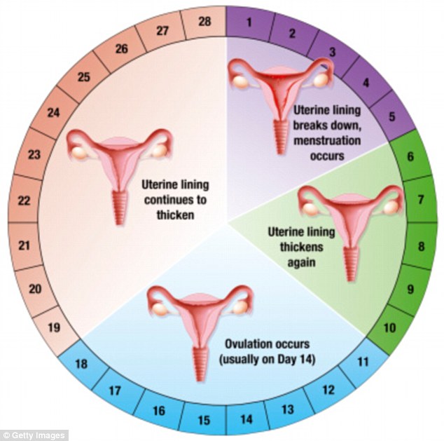 how to determine day 1 of menstrual cycle