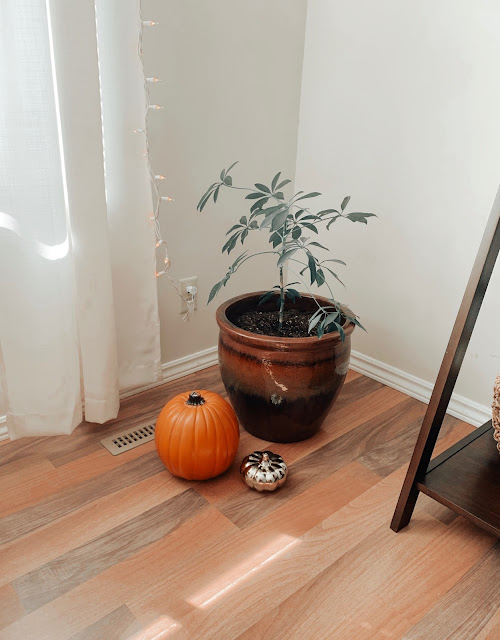 Simple Fall Home Decor — Sara of Happy