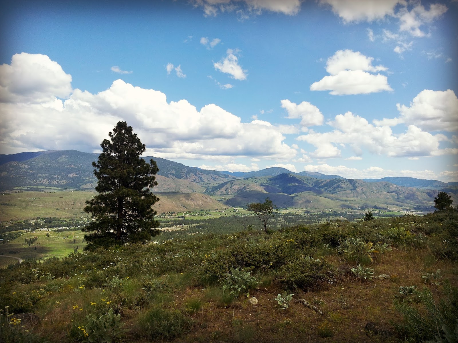 Marblemount Homestead Best kidfriendly hikes and bike rides in the