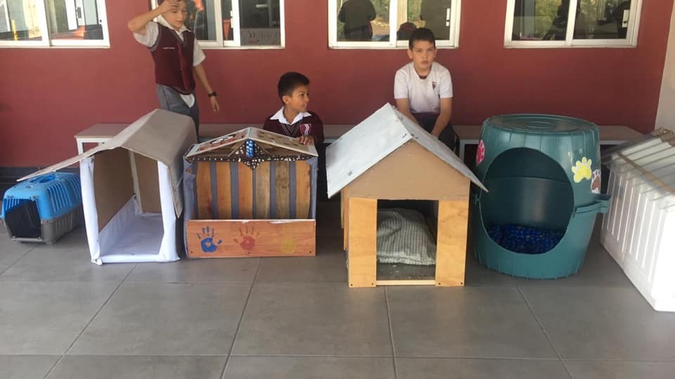 Niños construyeron casitas para perros con materiales reciclables