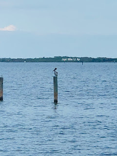 Perch