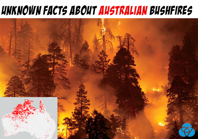 alt="Australia,Australia bushfires,fire,wildfire,catastrophic fire,natural hazards,natural disasters,animals,nature,people,forest,world,wildlife"