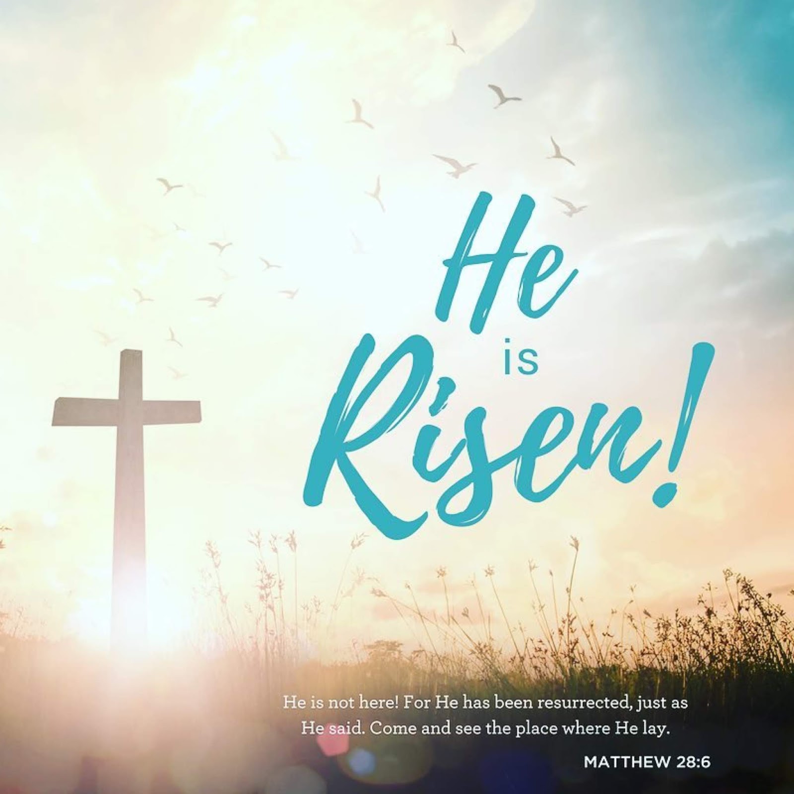 Growing Up In The Word Risen With Christ