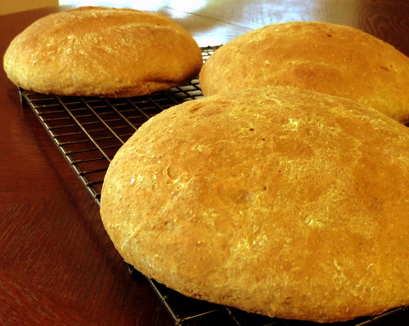 The Katy Rose Shiner Bock Beer Bread