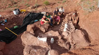 140 million years ago dinosaur fossils discovered in Argentina