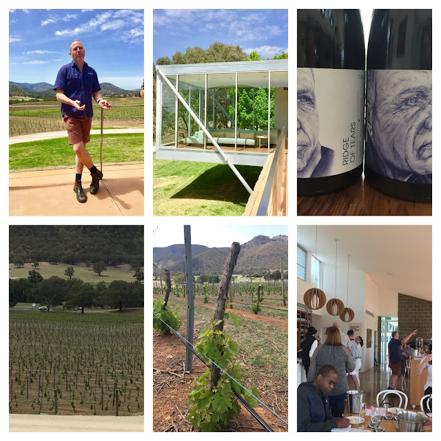 collage showingwinemaker Peter Logan and Logan's posh tasting room and Ridge of Tears Shiraz and Merlot vines waiting for grafting with Tempranillo and inside the tasting room.