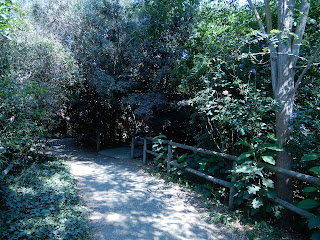 Parco Gallorose(ガッロロゼ公園)園内風景