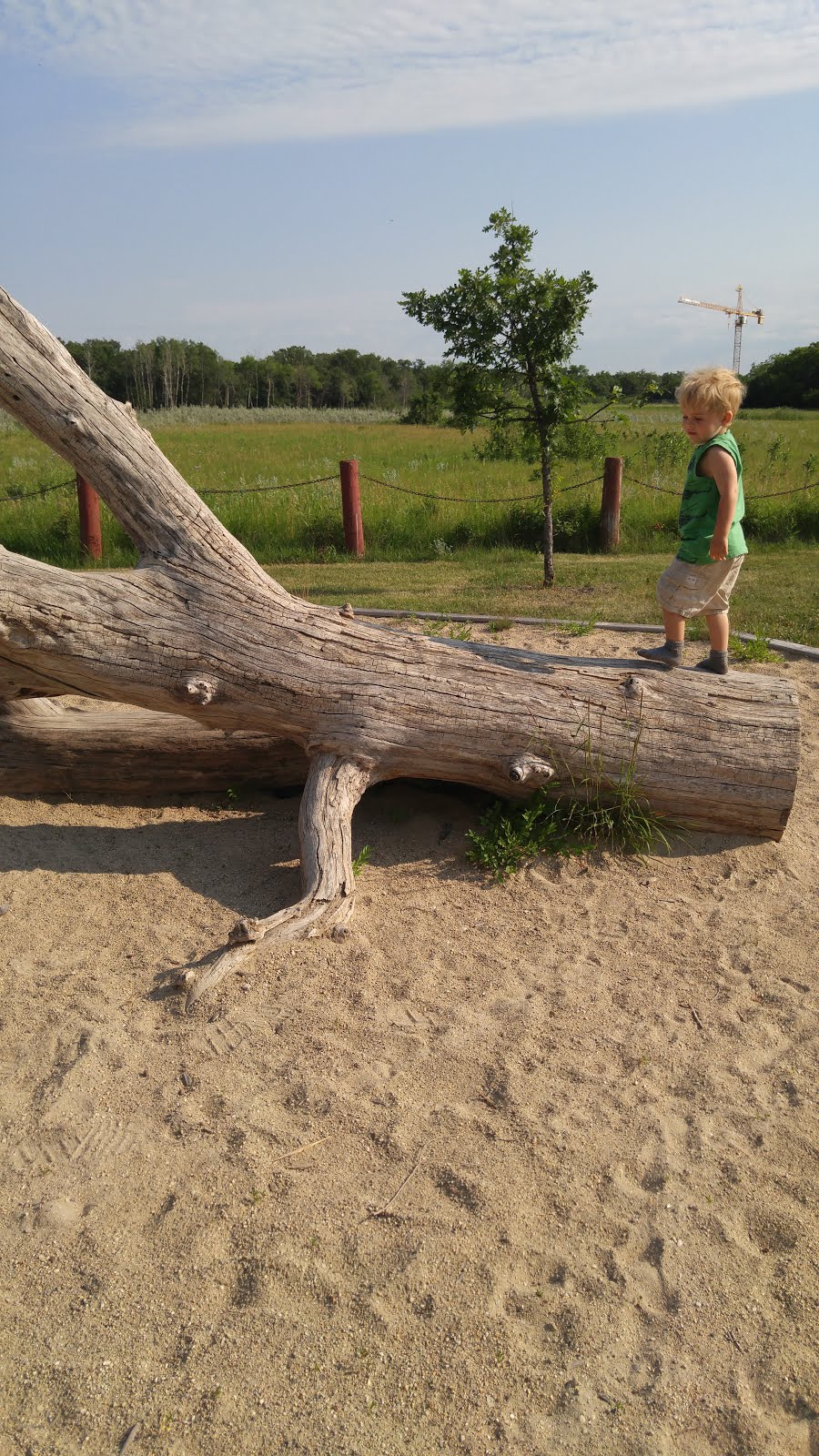 Controversial Play and Topics in Early Childhood Education