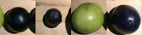 Four tomatillo fruit, from left to right. 1) Medium purple. 2) Small purple. 3) Large green. 4) Medium purple.
