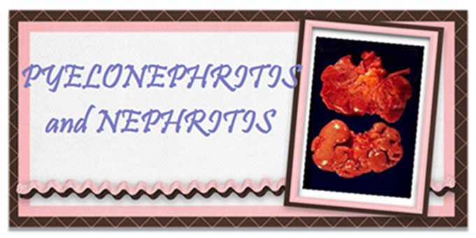 Pyelonephritis and Nephritis