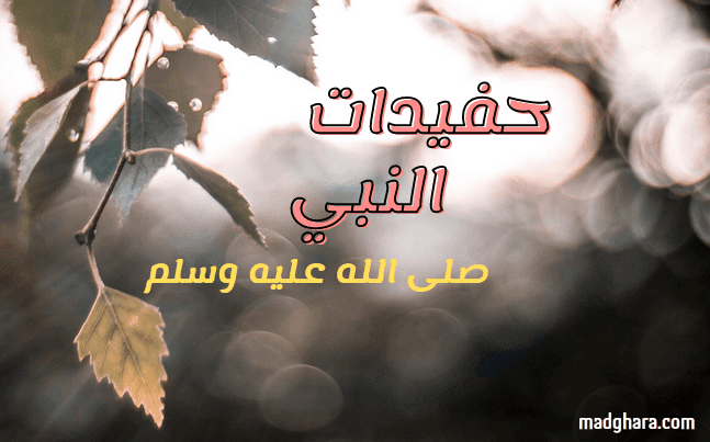 حفيدات النبي صلى الله عليه وسلم زينب وأم كلثوم وفاطمة وسكينة ونفيسة رضي الله عنهن