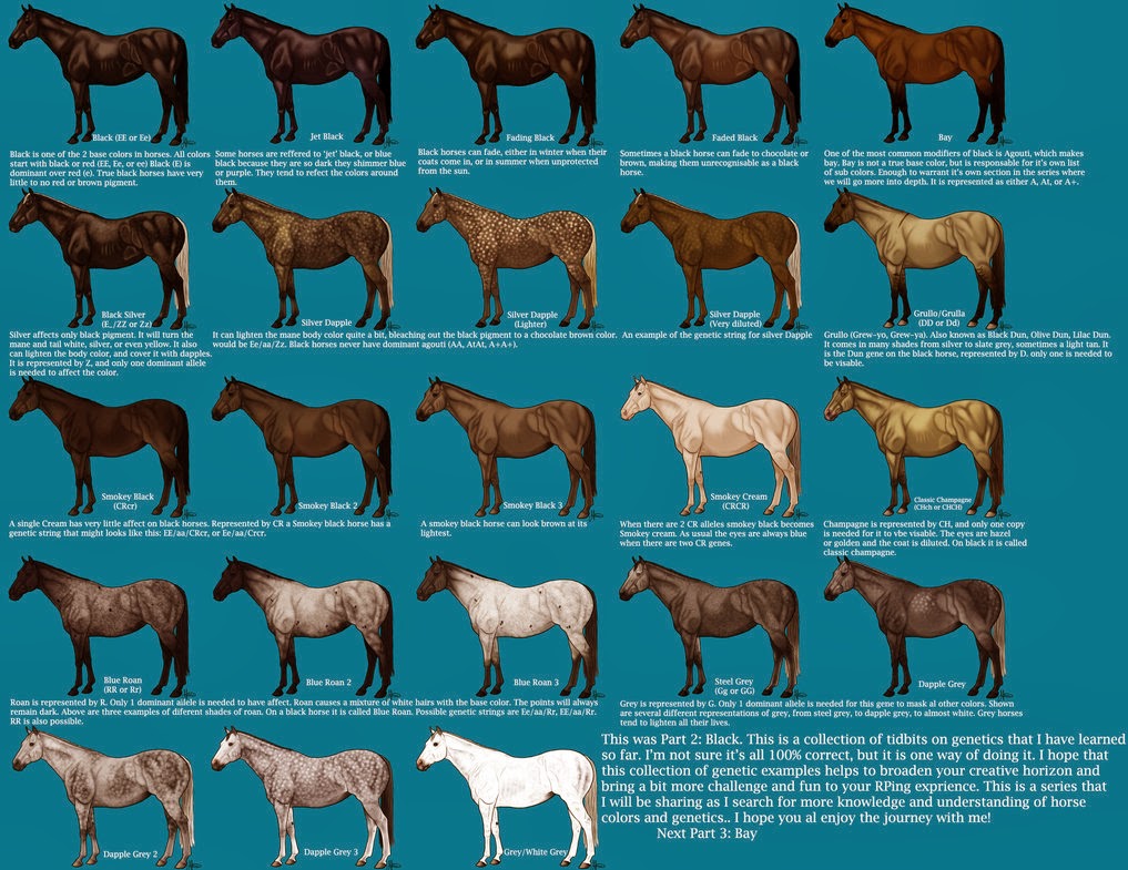 Iowa Grognard: Horse Color Charts