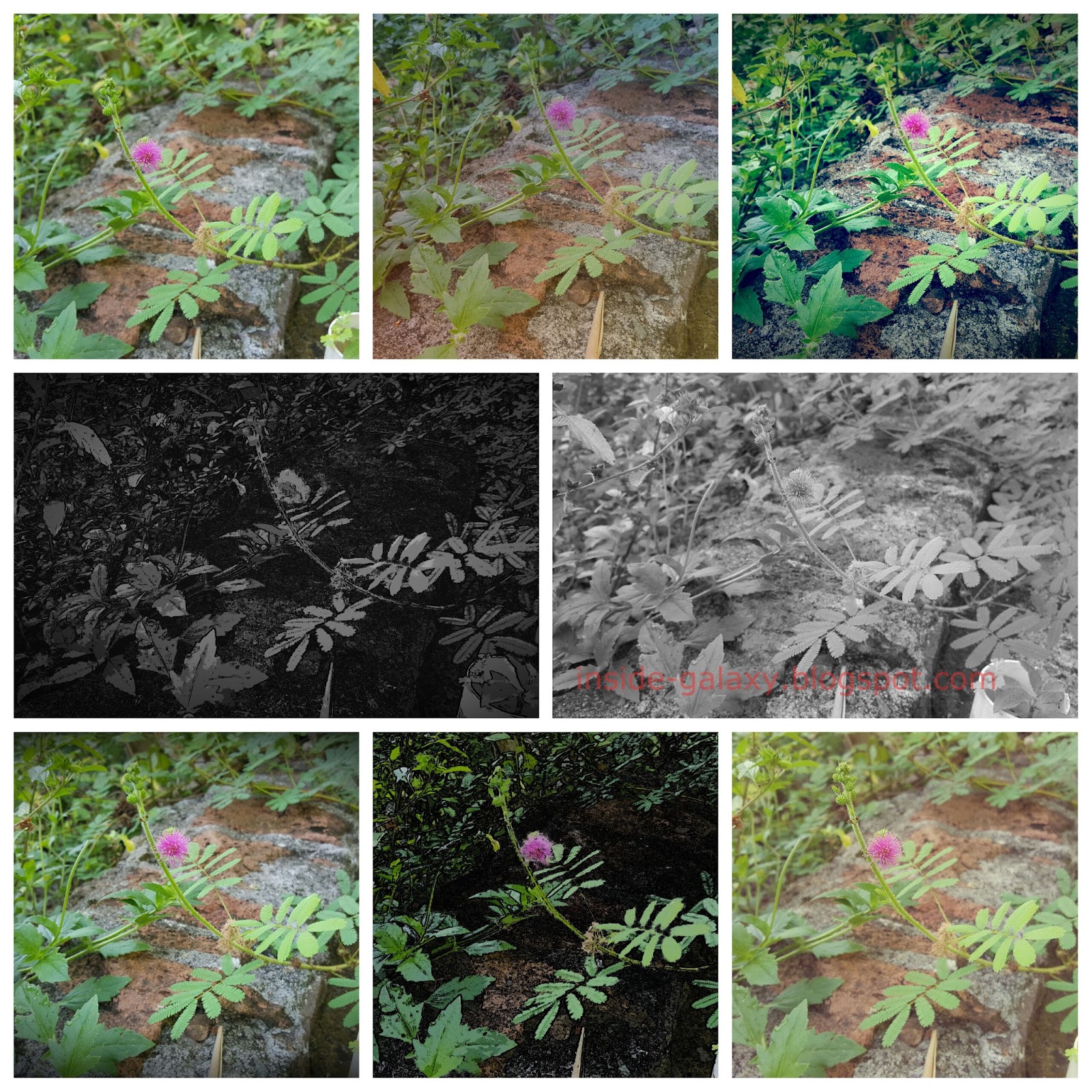 Inside Galaxy Samsung Galaxy S6 Edge How to Use Filter Effects in