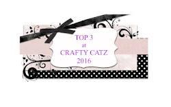 Top 3 Crafty catz challenge nº321