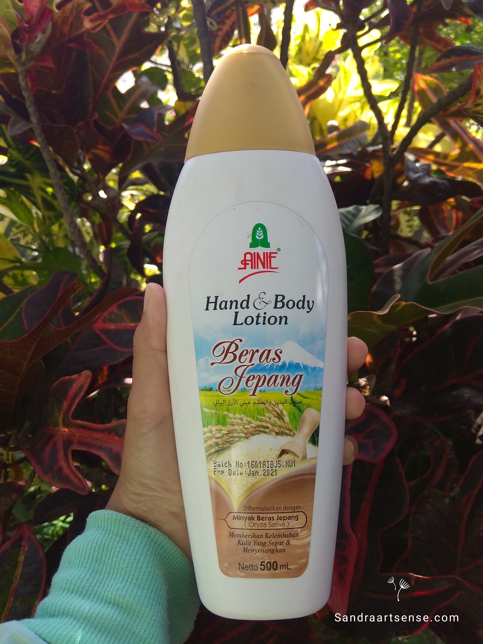 Review Ainie Hand & Body Lotion Beras Jepang
