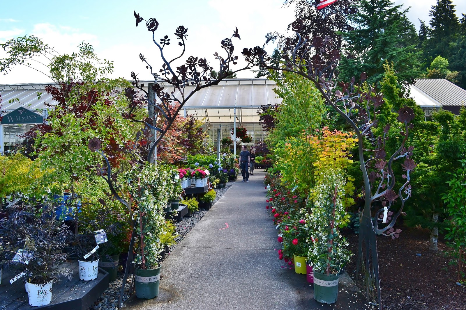 Linda Letters Watson's Greenhouse and Nursery