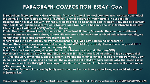  PARAGRAPH, COMPOSITION, ESSAY: Cow  #BESTEDUCATIONPAGE