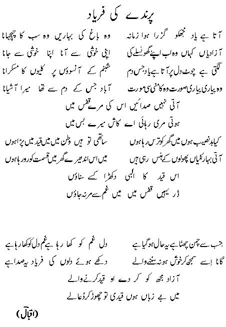 Fair Urdu Poetry: PARINDE KI RARYAD.