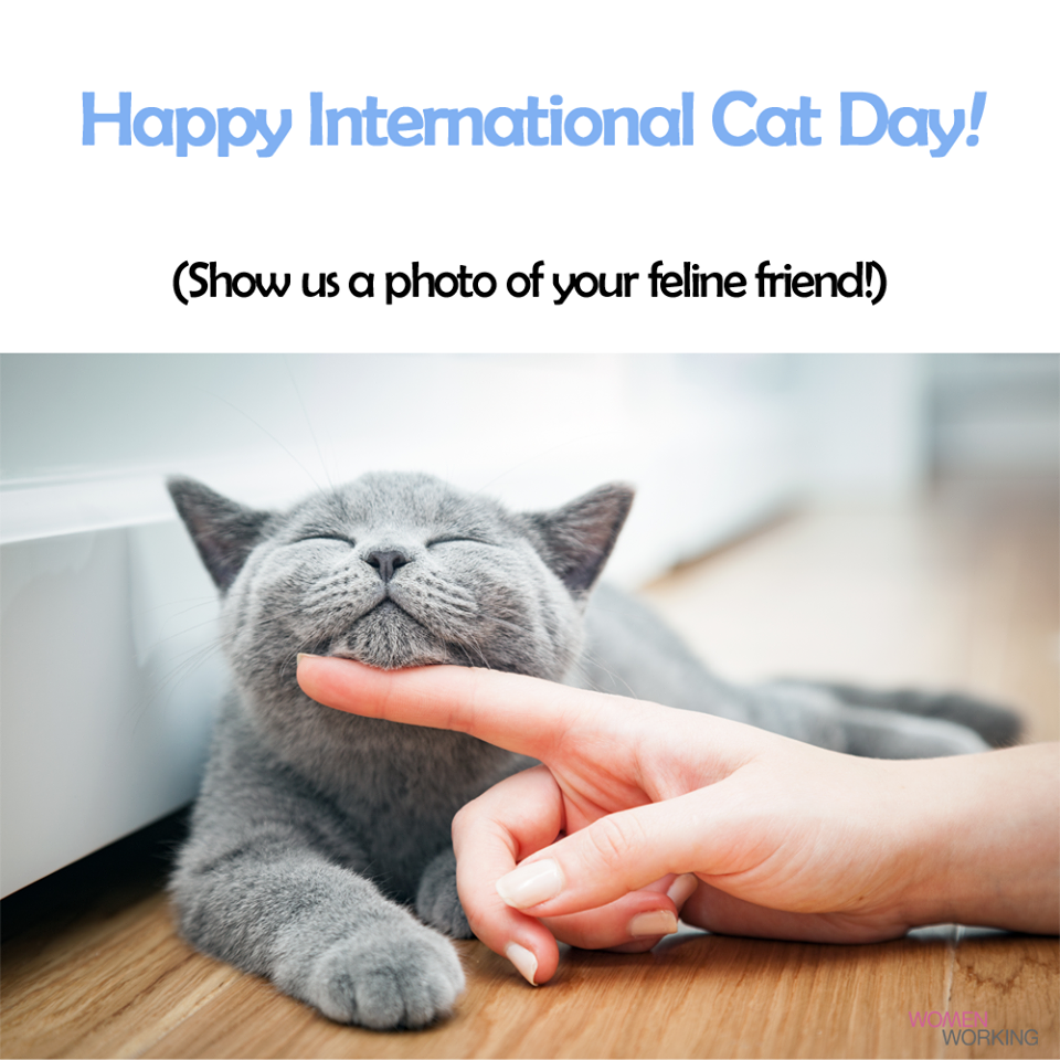 International Cat Day Wishes Images What's up Today
