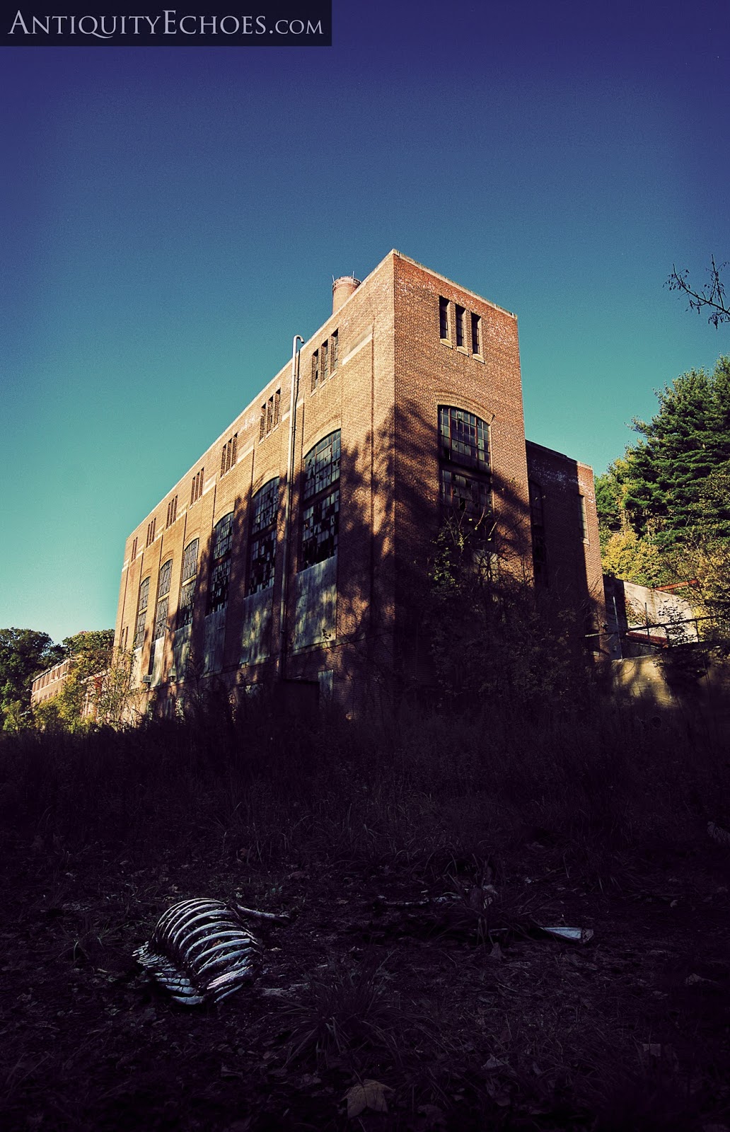 Antiquity Echoes The Disgrace of Letchworth Village