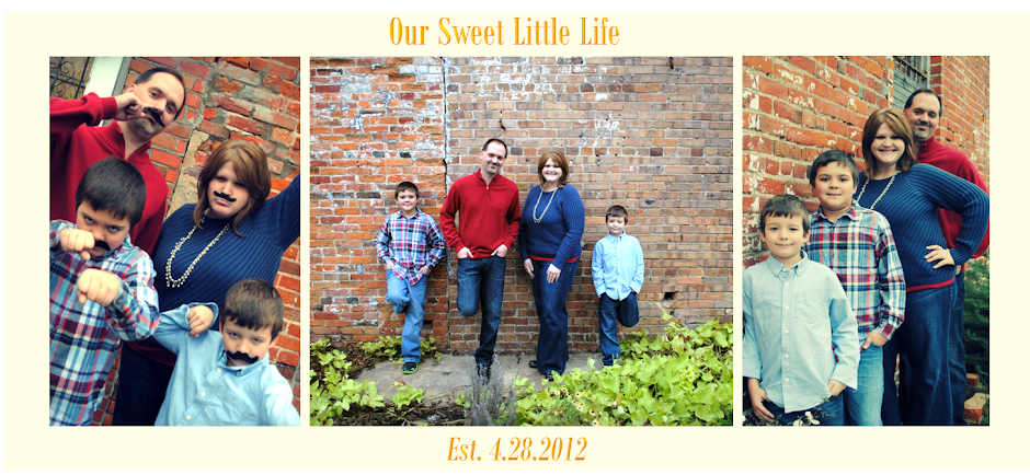 Our Sweet Little Life