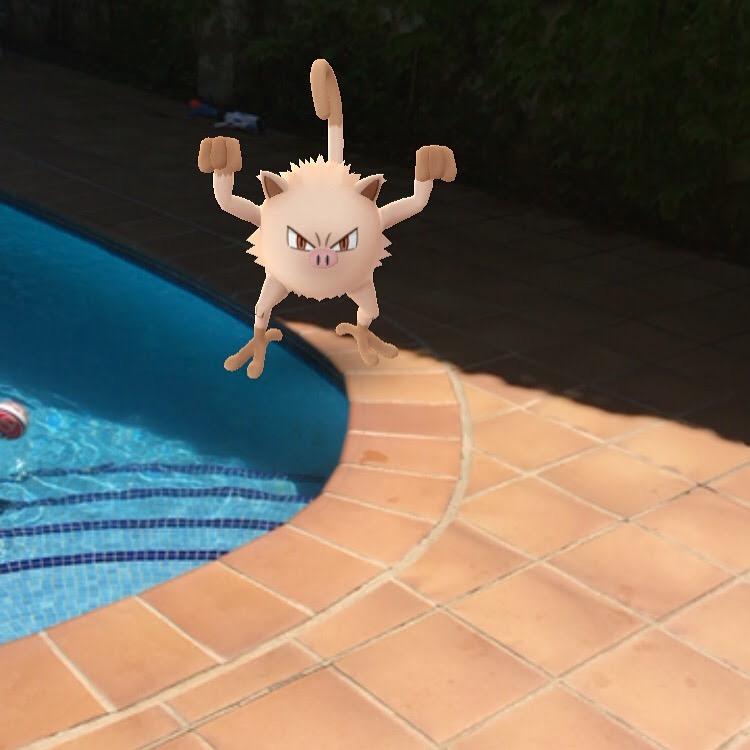 PokemonGO. Madre Imaginacion. MImaginacion