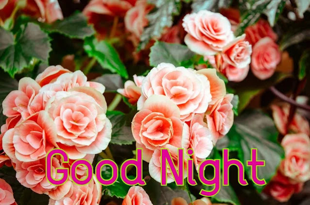 Good Night HD Images Collection Good Night HD Images Collection