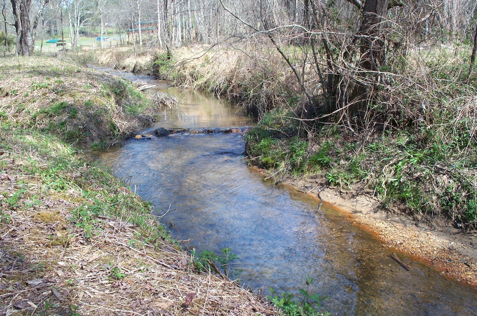 Blue Ridge GA Real Estate