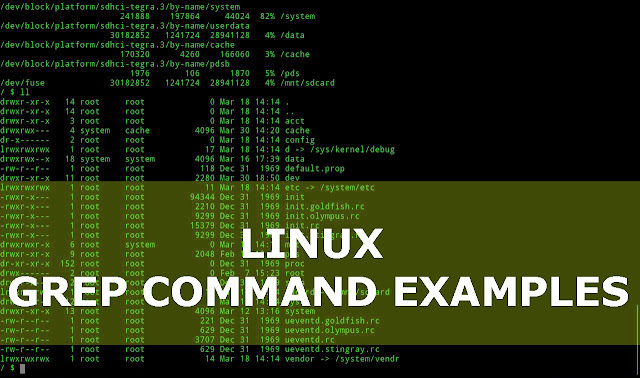 Grep Command, Unix Command, Linux Command, LPI Study Materials