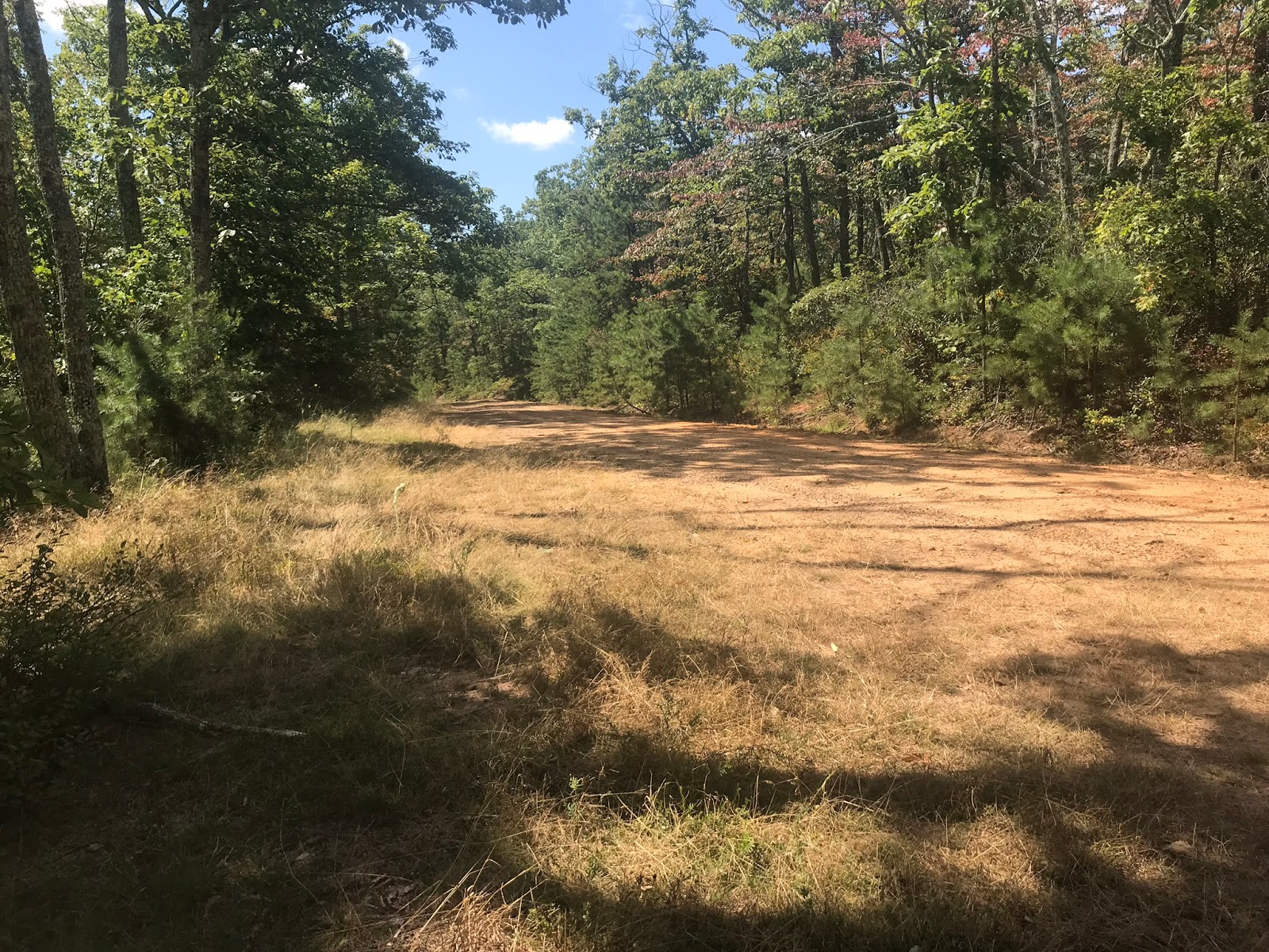 Wandering Virginia South Piney Mountain Trail, Warm Springs District, GWNF