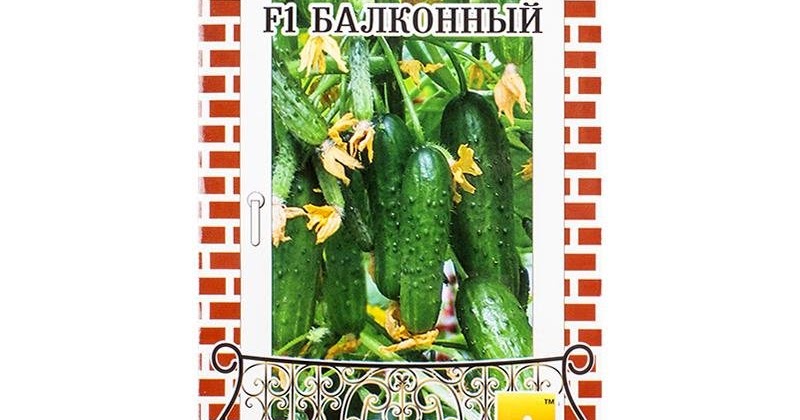 огурец балконный хрустик