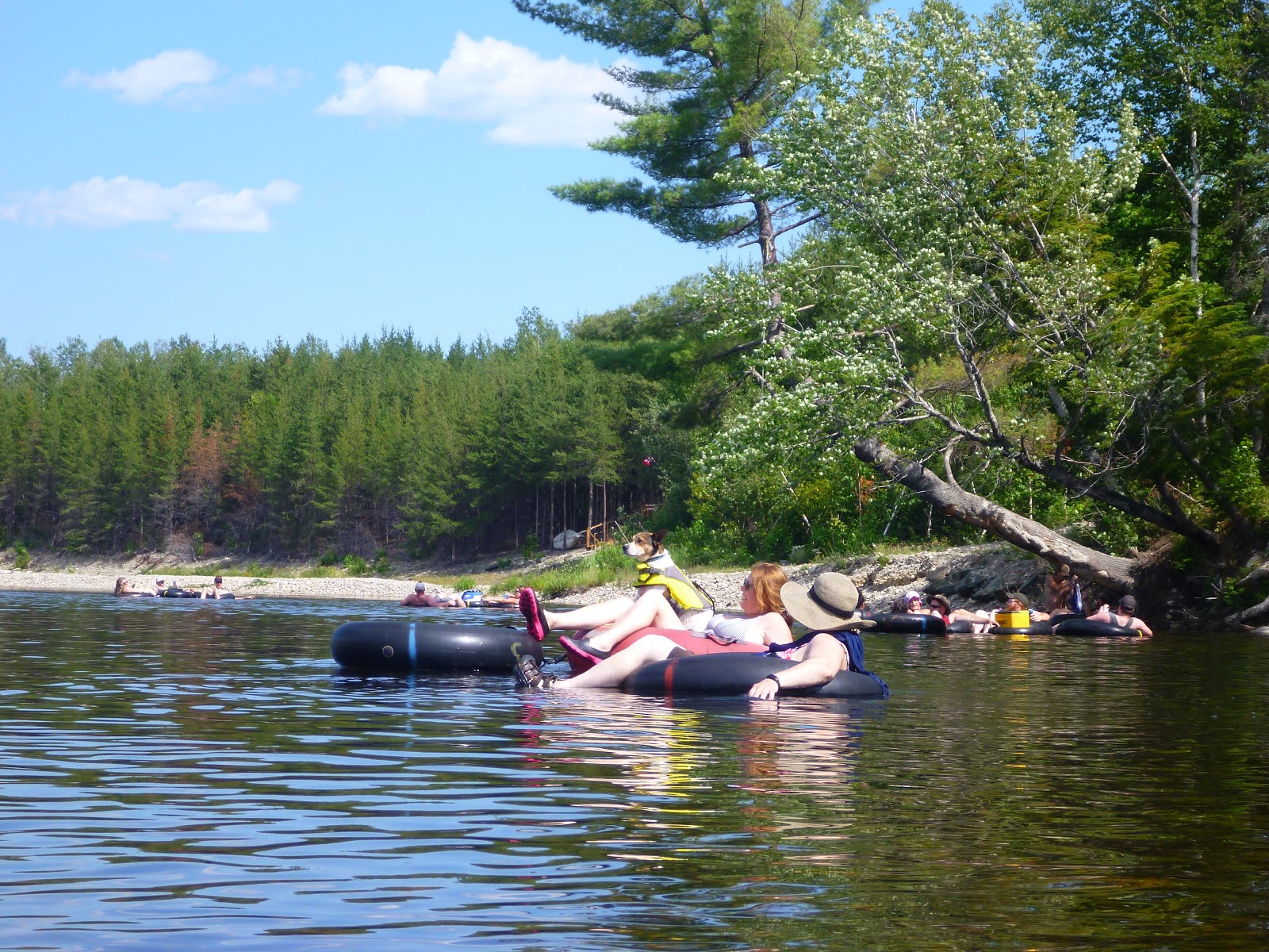 Ride Reports and Other Drivel 2020 Tubing down the Little West