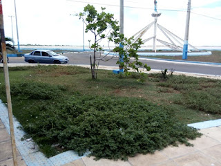 ENTRADA DE MACAU PASSA POR SÉRIO PROBLEMAS ESTRUTURAIS