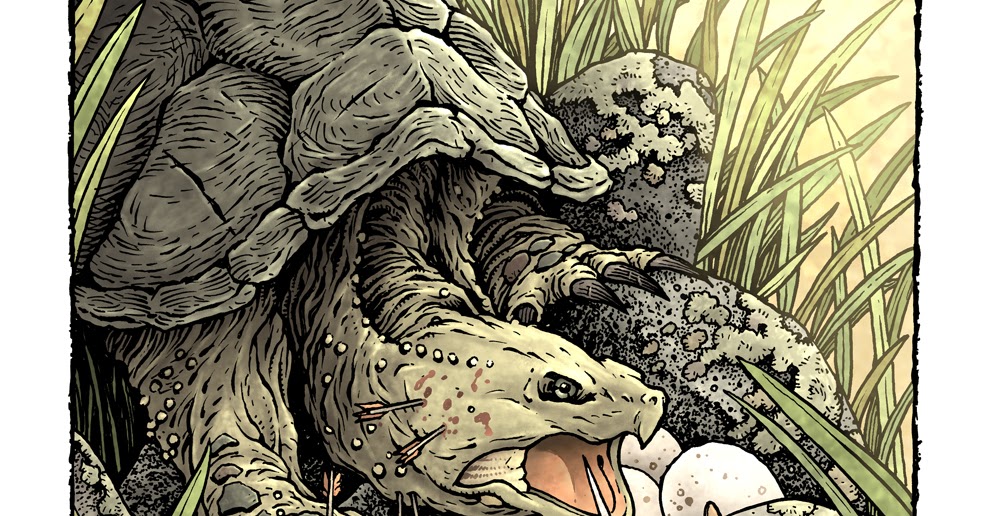 David Petersen's Blog: Mouse Guard 'Snapping Turtle' Process