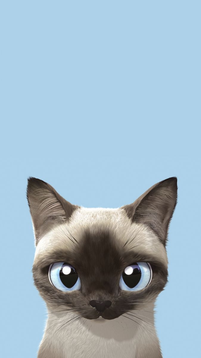 wallpaper cat cartoon for phone hd - Elinotes - Review By Eli Setiawan