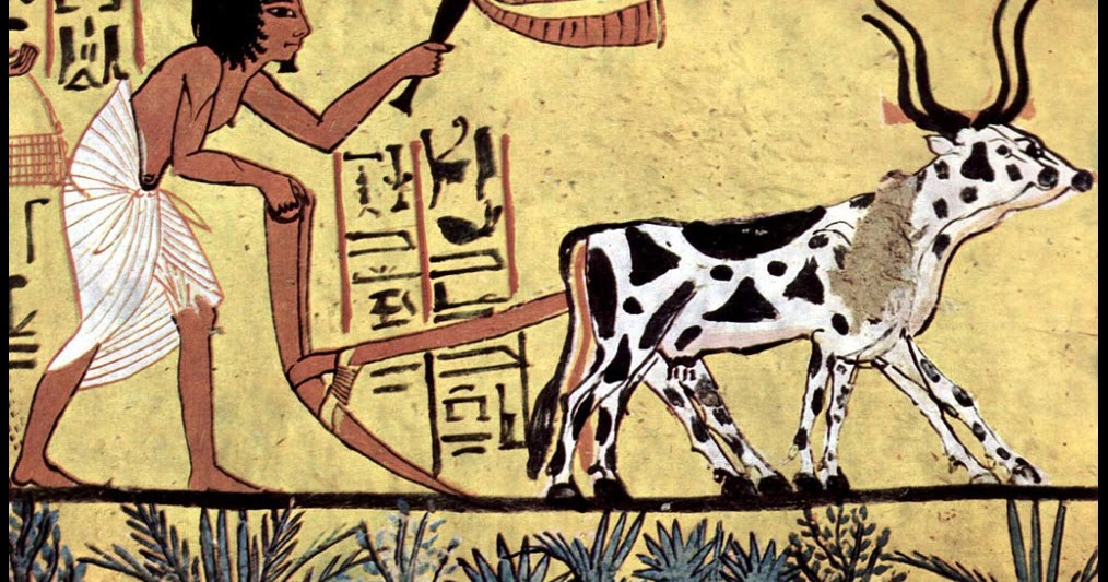 S T R A V A G A N Z A THE FIRST FARMERS AND ORIGINS OF AGRICULTURE